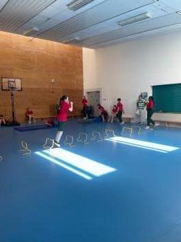 IMG_7032.jpeg